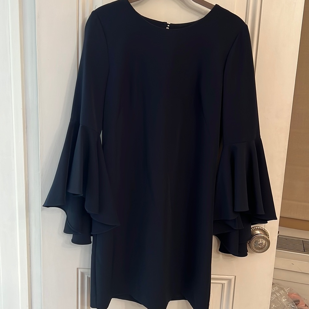 Milly size 2 navy dress - Picture 4 of 13